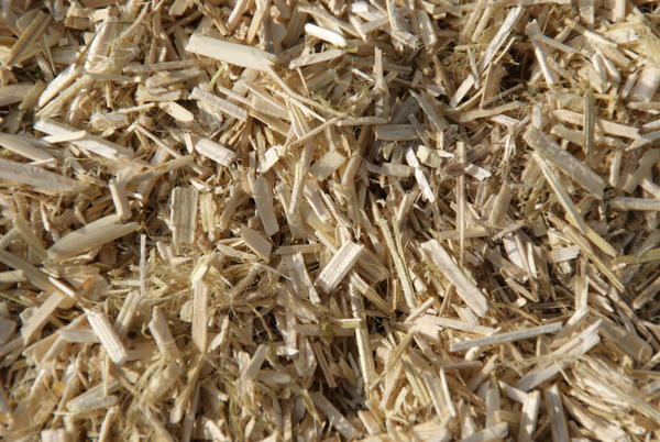 Chènevotte pour béton de chanvre